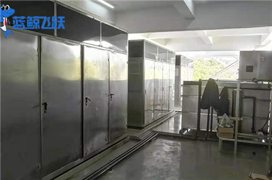 超声波清洗机：高科技清洁的未来体验